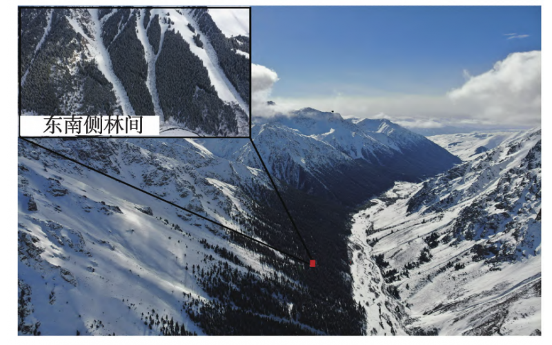 基于空-地协同调查的西天山阿尔先沟雪崩过程数值模拟